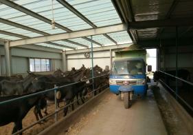 撒料車在驢場(chǎng)中的應(yīng)用